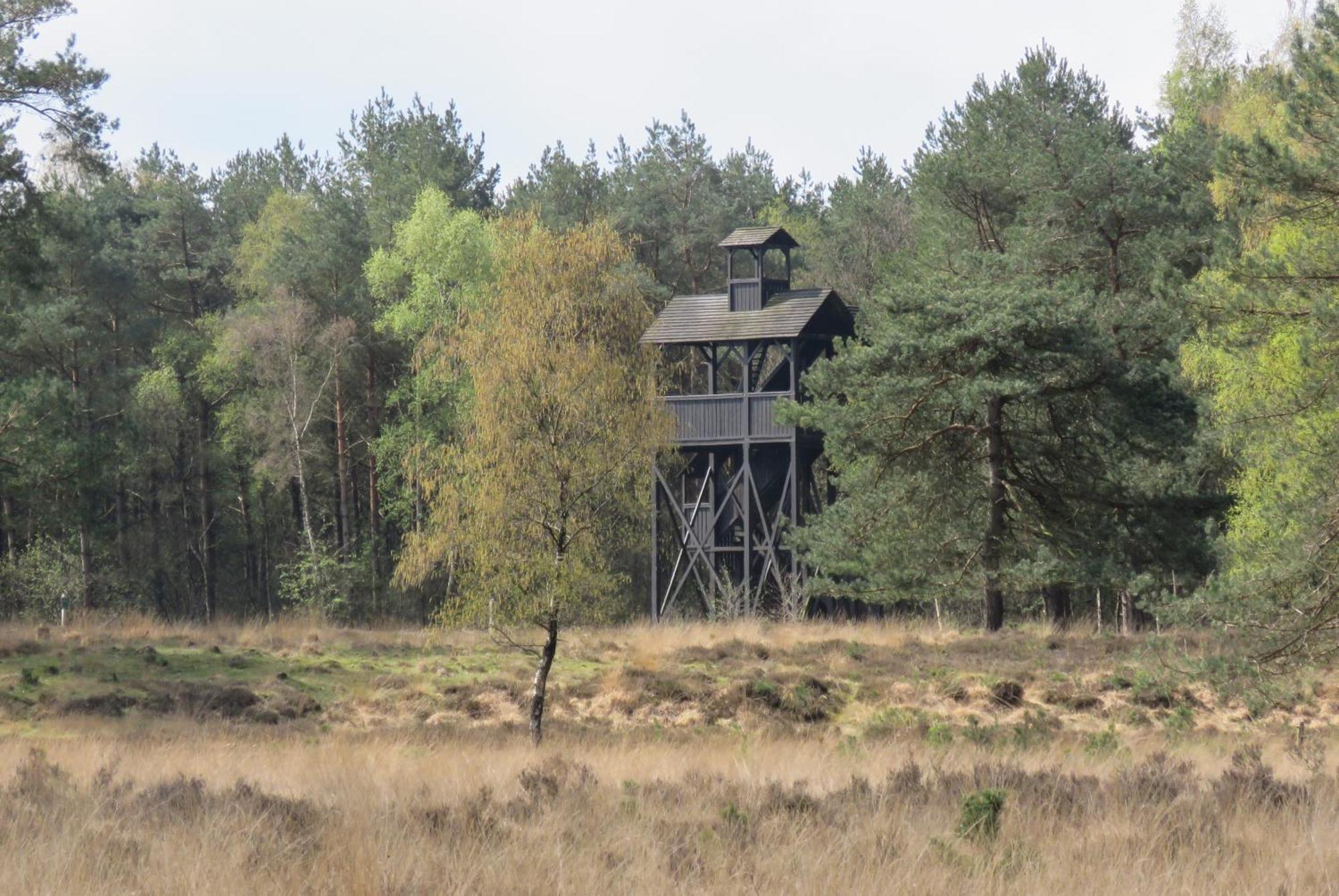 Huisje De Geluksvogel Zorgvlied Zewnętrze zdjęcie