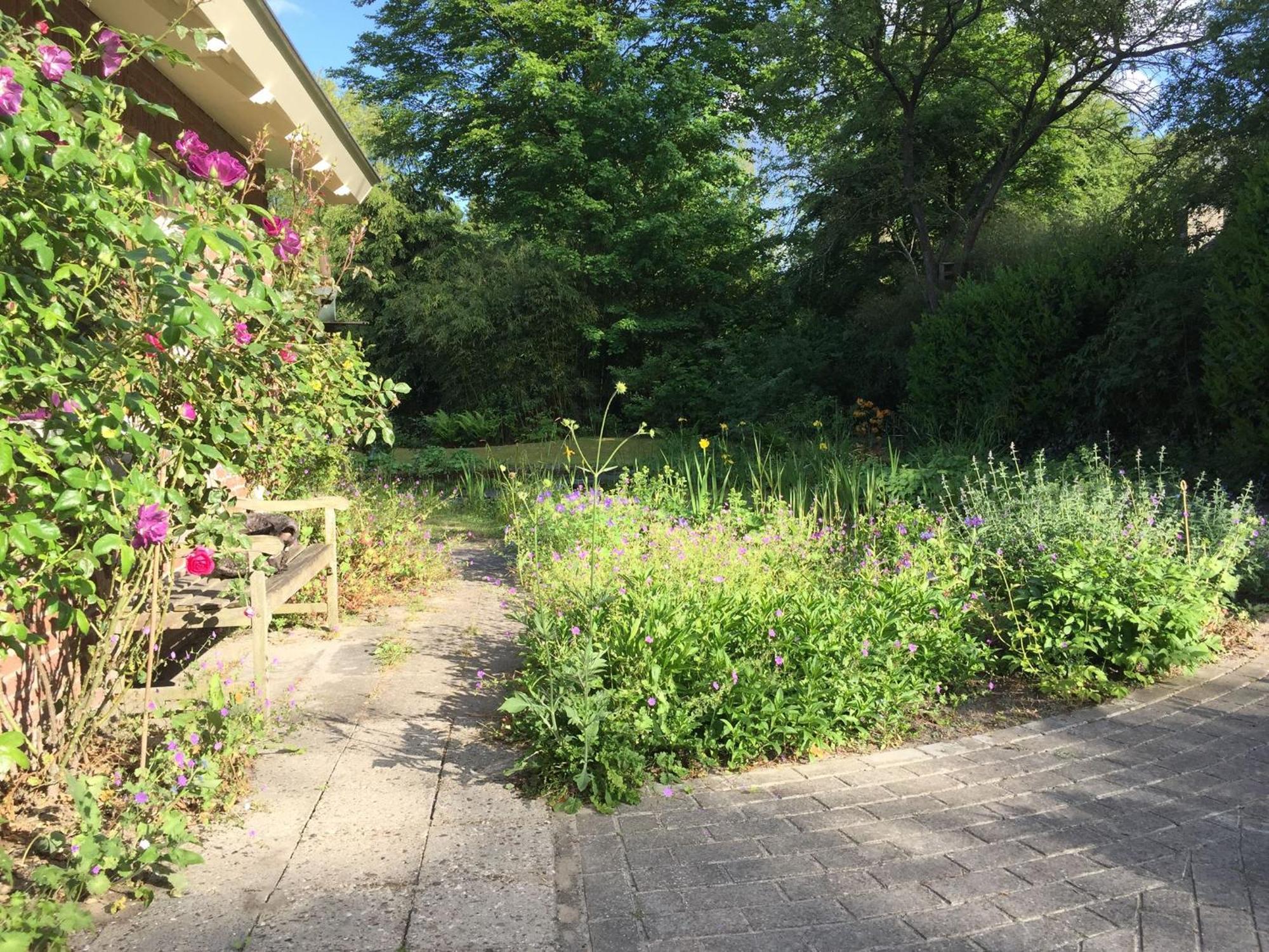 Huisje De Geluksvogel Zorgvlied Zewnętrze zdjęcie